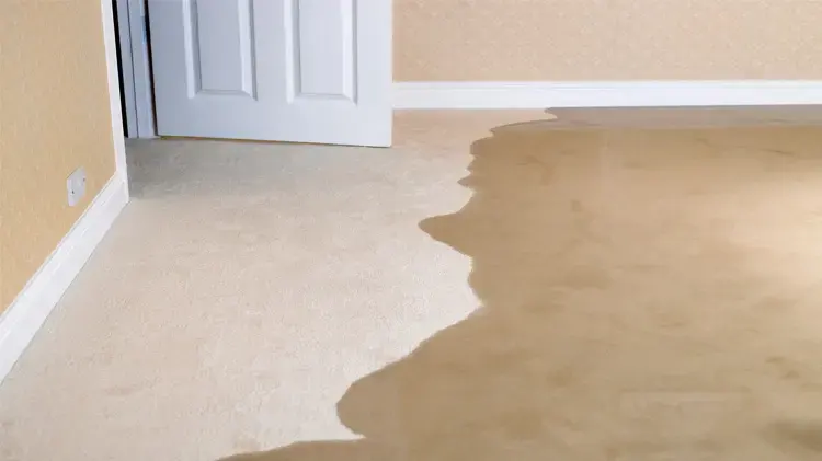 Water spreading across a carpeted floor from a doorway