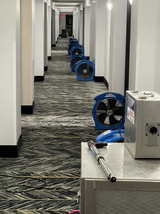 Air movers and a dehumidifier lined up along a carpeted commercial hallway